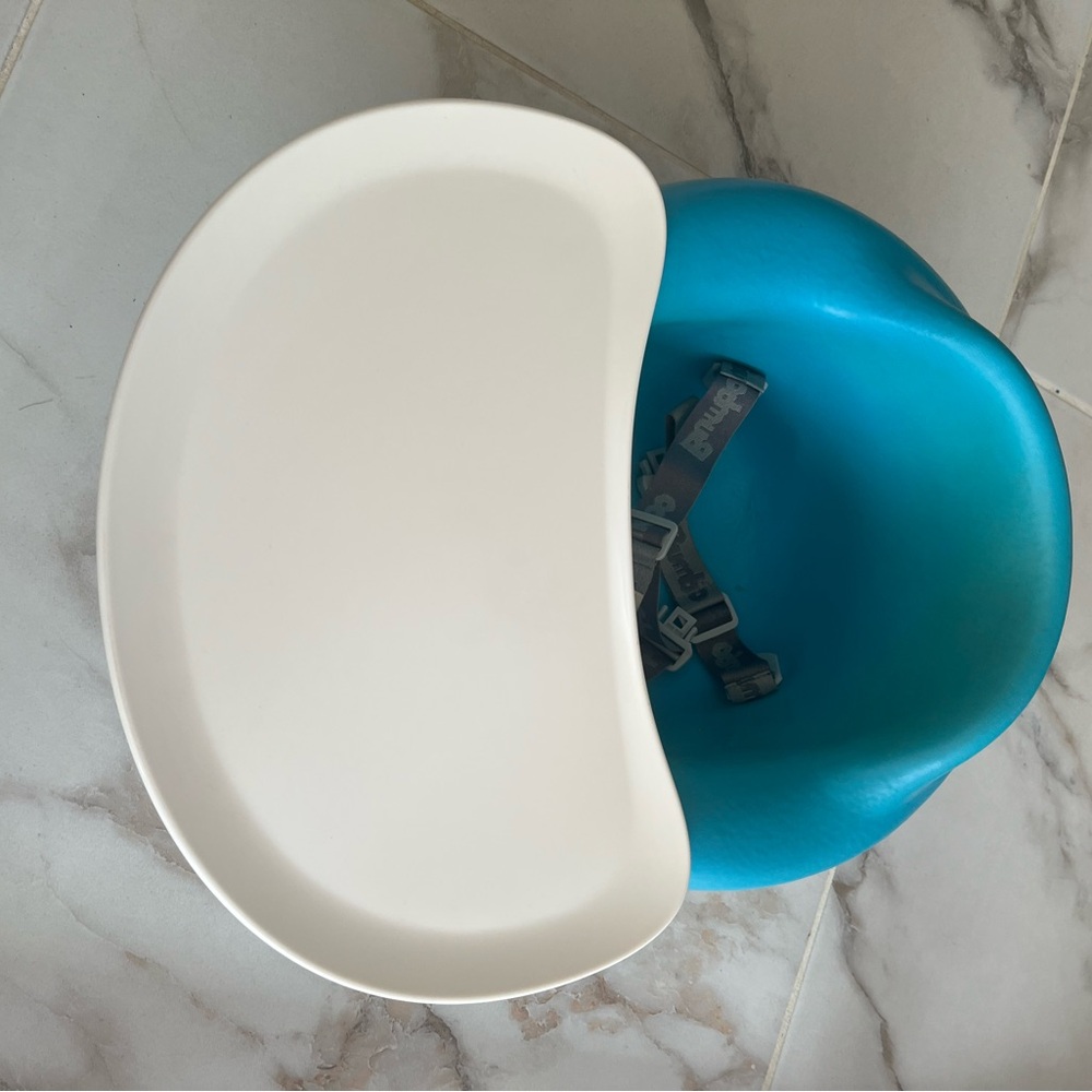 Blue and White Baby Booster Seat